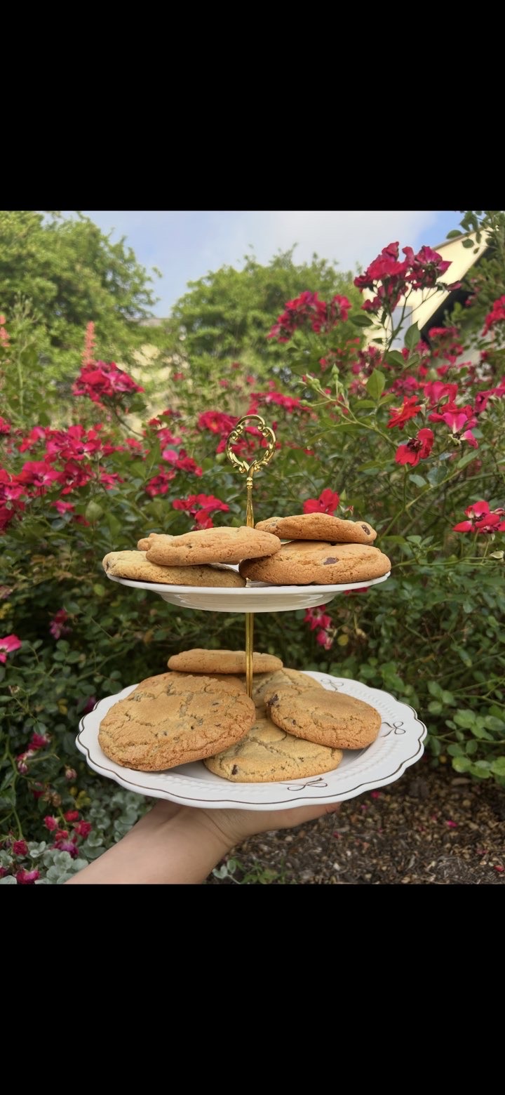 Protein cookies outdoors